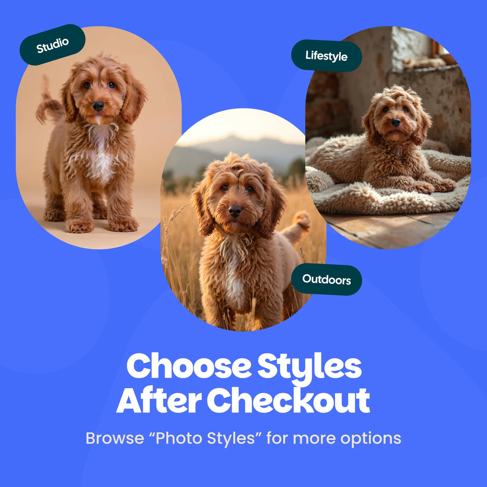 Portraits + Digital Images