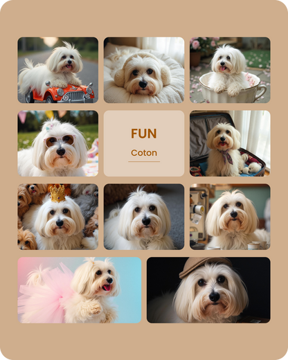 Coton Fun-1.png