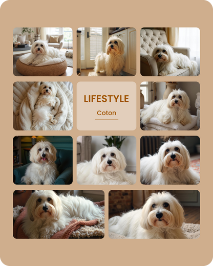 Coton Lifestyle-1.png