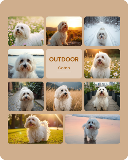 Coton Outdoor-1.png