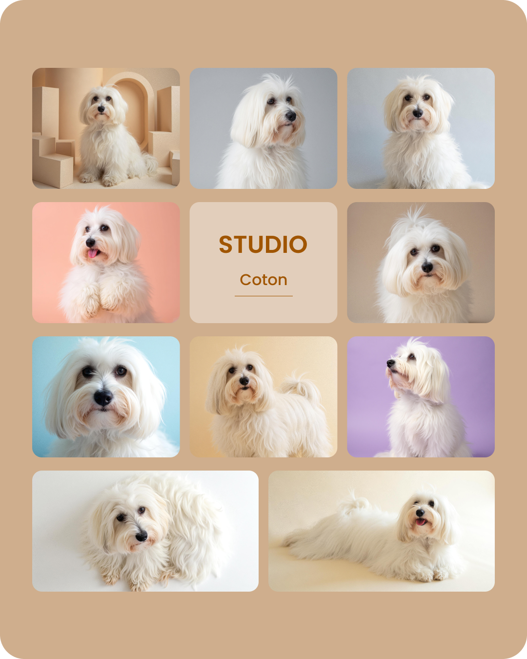 Coton Studio-1.png