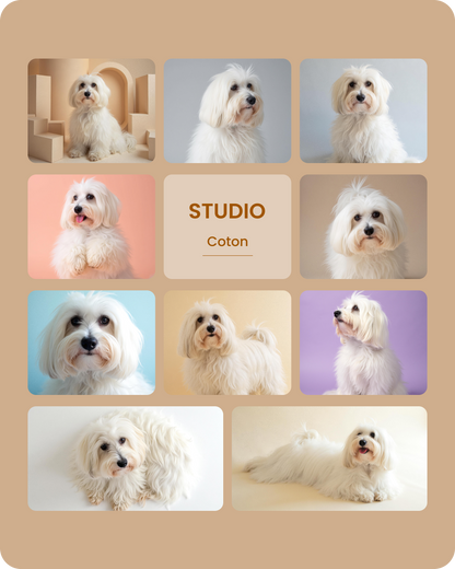 Coton Studio-1.png