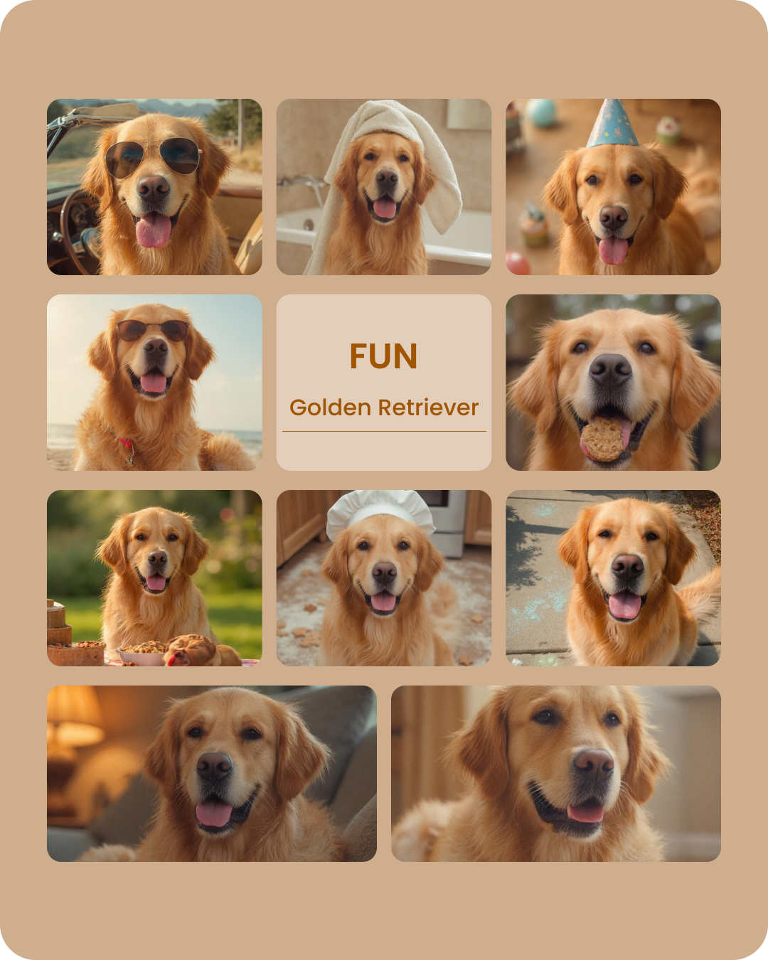 Golden Retriever Fun-1.png