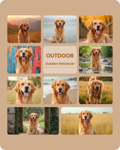 Golden Retriever Outdoor-1.png