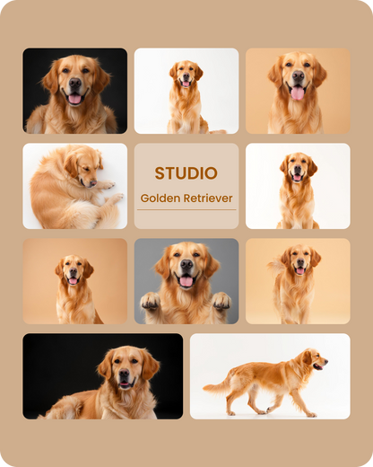 Golden Retriever Studio-1.png