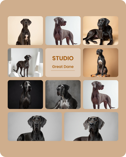 Great Dane Studio-1.png