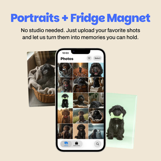 Digital Images + Fridge Magnet 3x2 x3